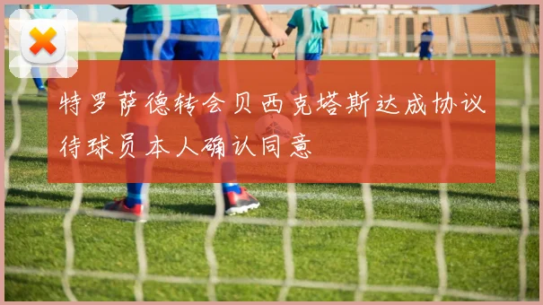 特罗萨德转会贝西克塔斯达成协议待球员本人确认同意
